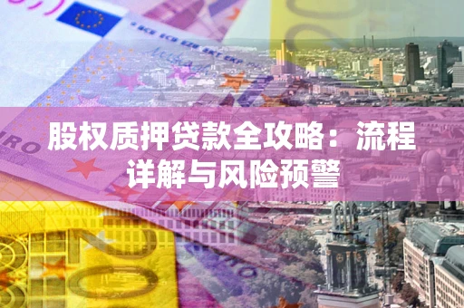 北京股权质押贷款全攻略：流程详解与风险预警