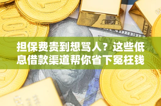 北京担保费贵到想骂人？这些低息借款渠道帮你省下冤枉钱