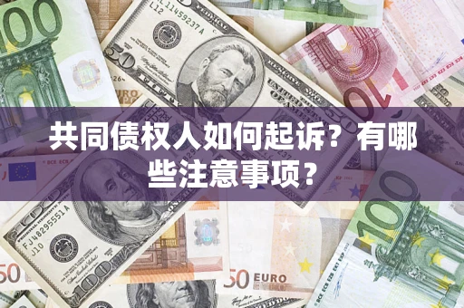 北京共同债权人如何起诉？有哪些注意事项？